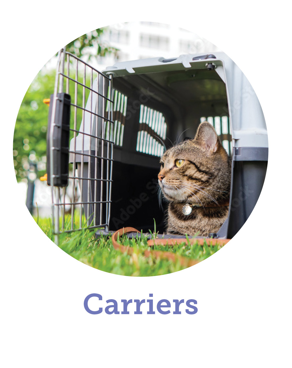 Kitten Essentials, Cat Carriers, Opens in new window.